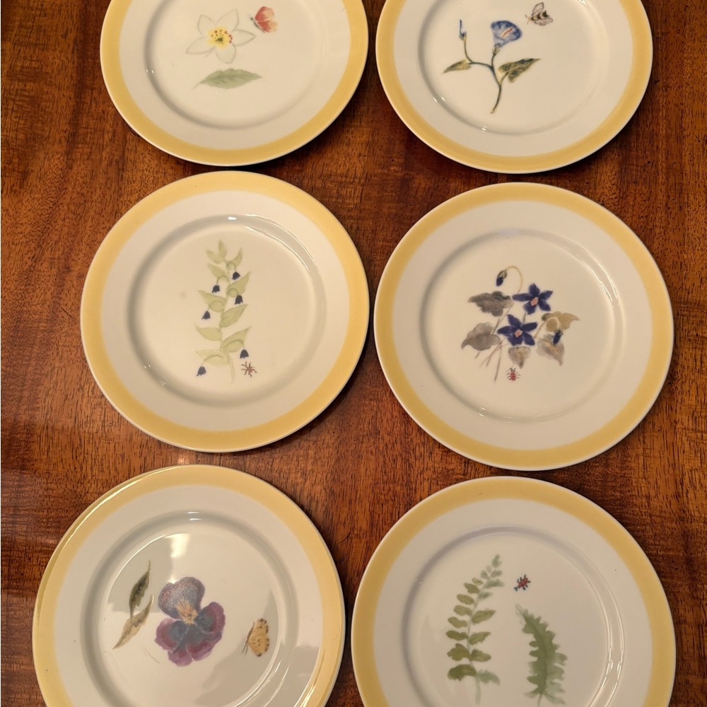 Set Of Six Williams Sonoma Summer Studies Botanical 7.75” Salad Plates Japan